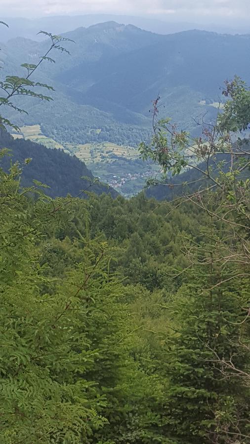 Hotel Casa Din Piatra Poiana  Exteriér fotografie